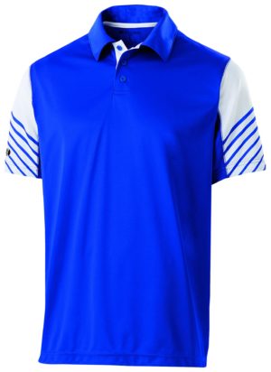 ARC POLO